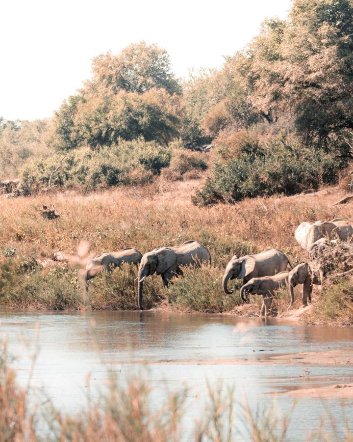 Maninghi Lodge Balule Game Reserve Exterior photo